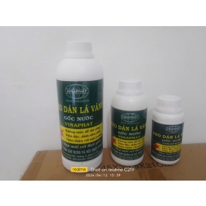 KEO DÁT VÀNG GỐC NƯỚC